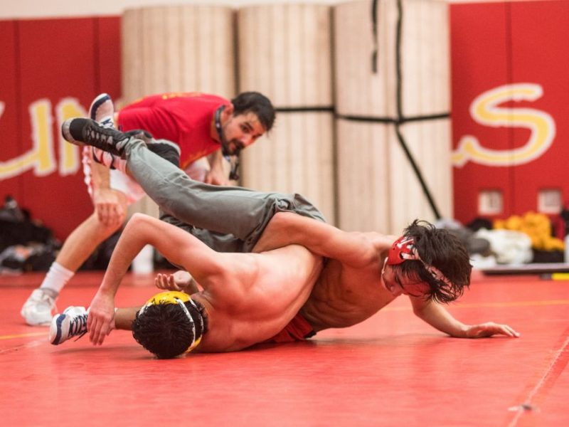 Meet Expert Trainers..